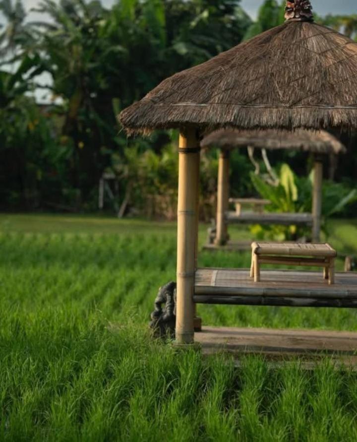 Rumah Kita *