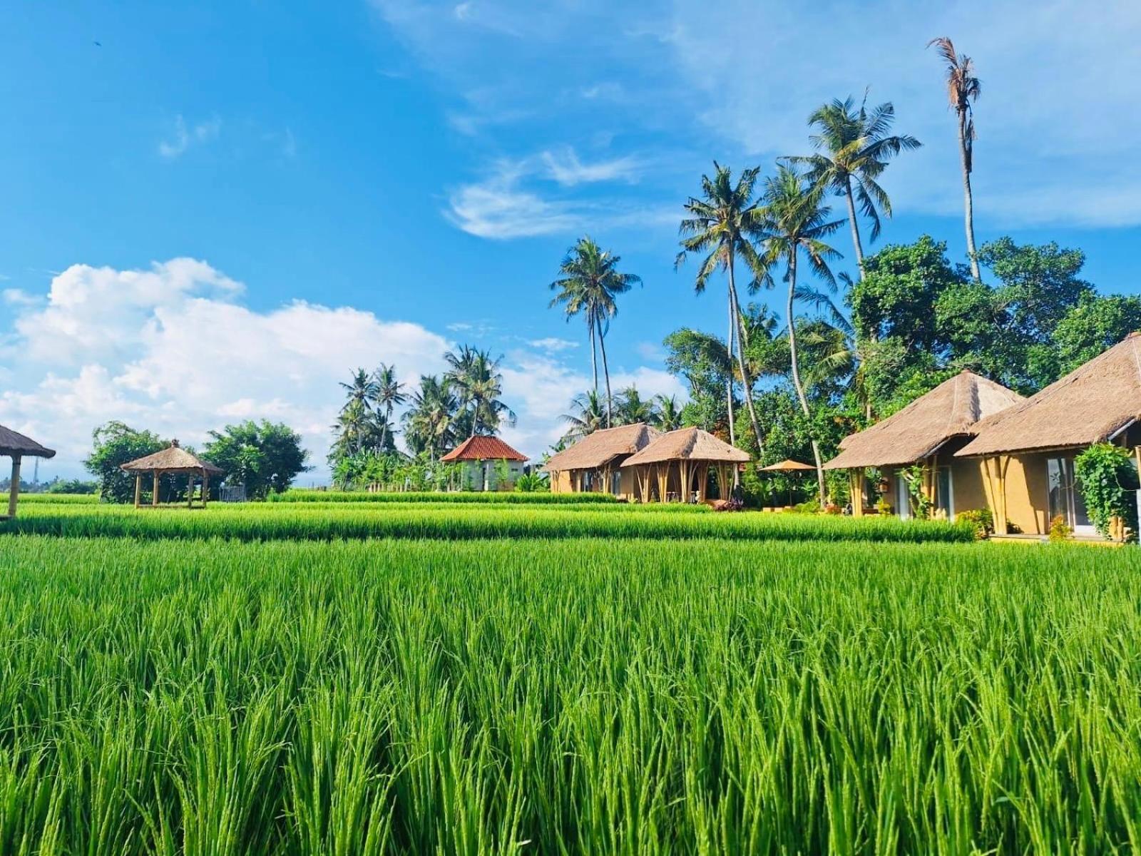 Rumah Kita लॉज Ubud (Bali)